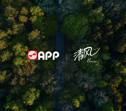 清风纸业-金光集团-集团小蝌蚪视频下载高清免费